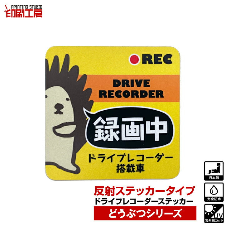 ドライブレコーダー【反射タイプ】ステッカー どうぶつシリーズ【はりねずみ】