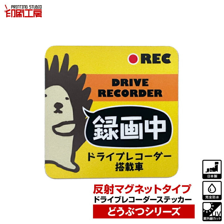 ドライブレコーダー【反射マグネット】ステッカー どうぶつシリーズ【はりねずみ】