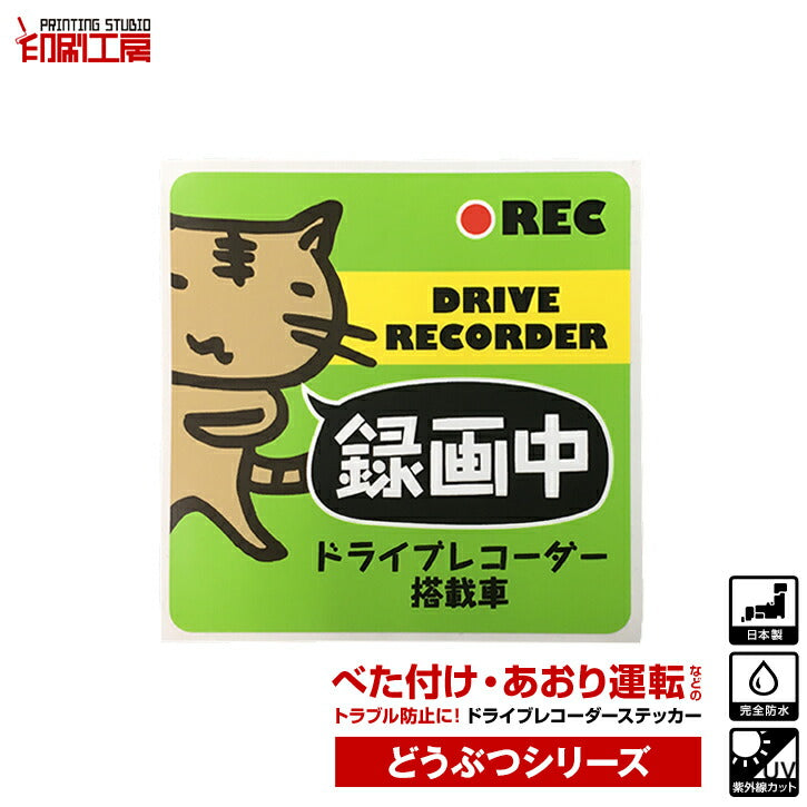ドライブレコーダーステッカー どうぶつシリーズ【ねこ】 かわいい ドラレコ ステッカー